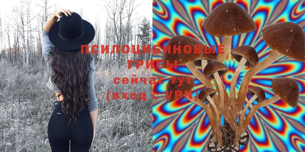 apvp Белоозёрский