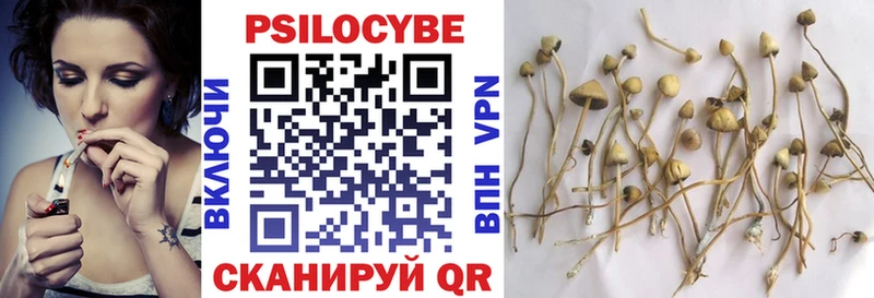 сколько стоит  Светлый  Галлюциногенные грибы GOLDEN TEACHER 